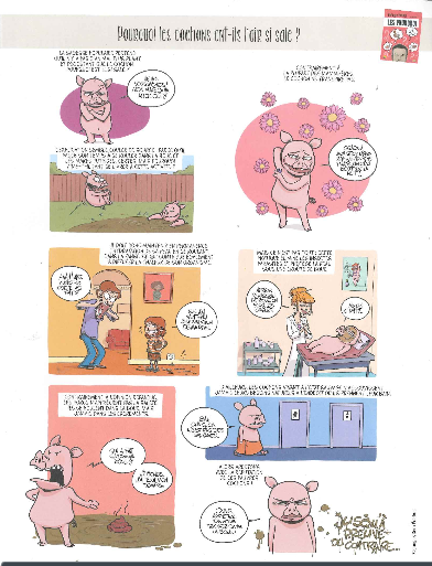 cochon-comic